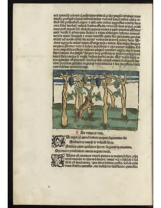 Le vulpe et uva