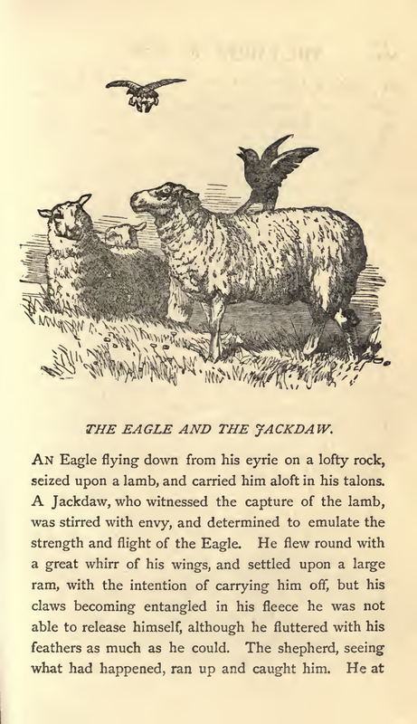 The Eagle And The Jackdaw