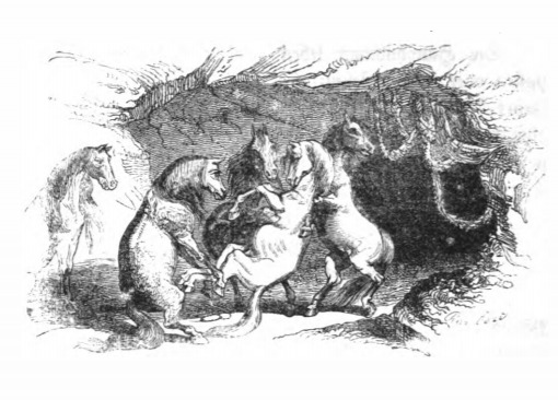 [a burial procession for the Houyhnhnms]