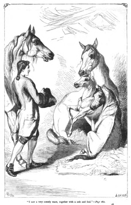 I saw a very comely mare, together with a colt and foal. - Page 282