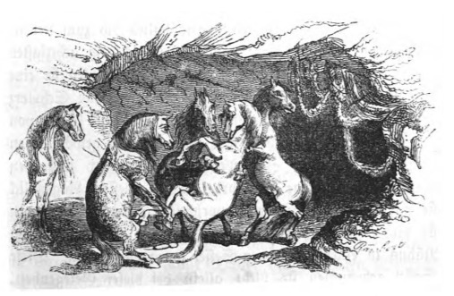 [a burial procession for the Houyhnhnms]