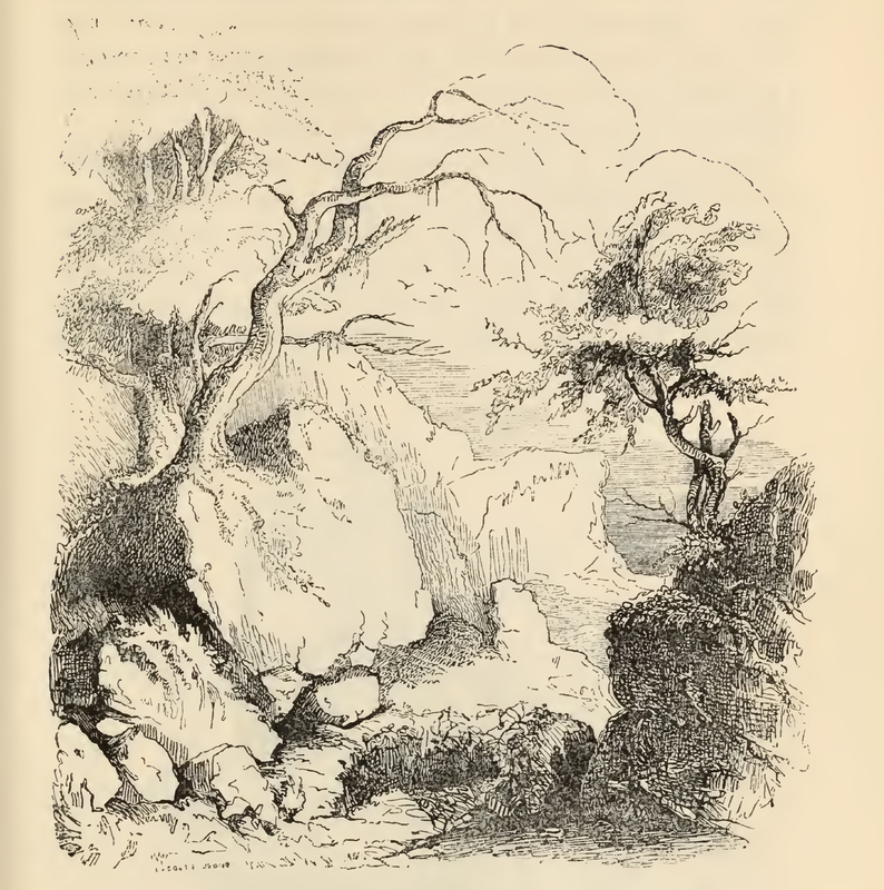 [The Entrance to the Cave of Montesinos]