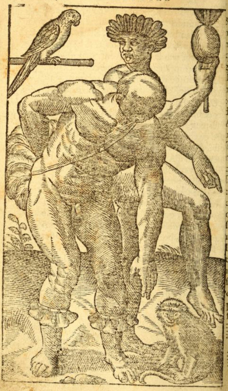 [Two Tupinambá men with a parrot and a monkey]