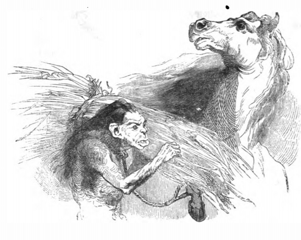 [A Yahoo and a Houyhnhnm]