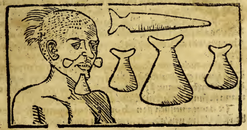 [Facial adornment of a Tupinambá man]