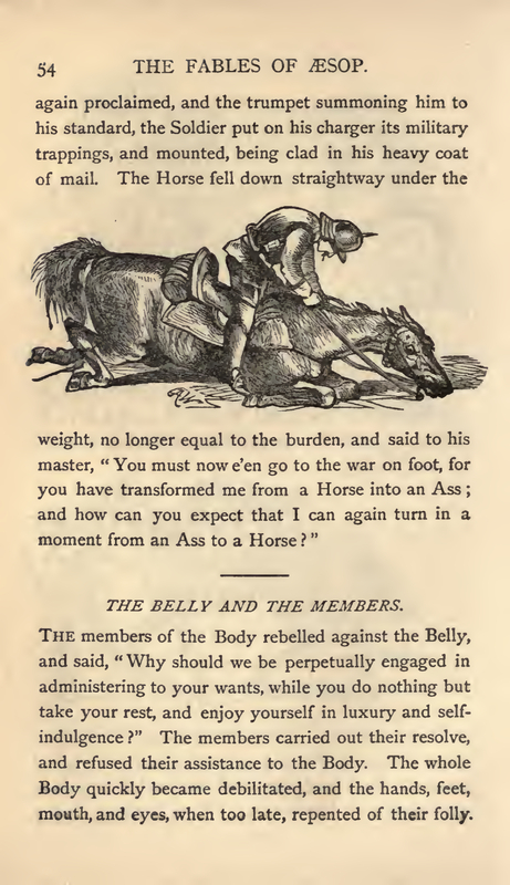 THE BELLY AND THE MEMBERS