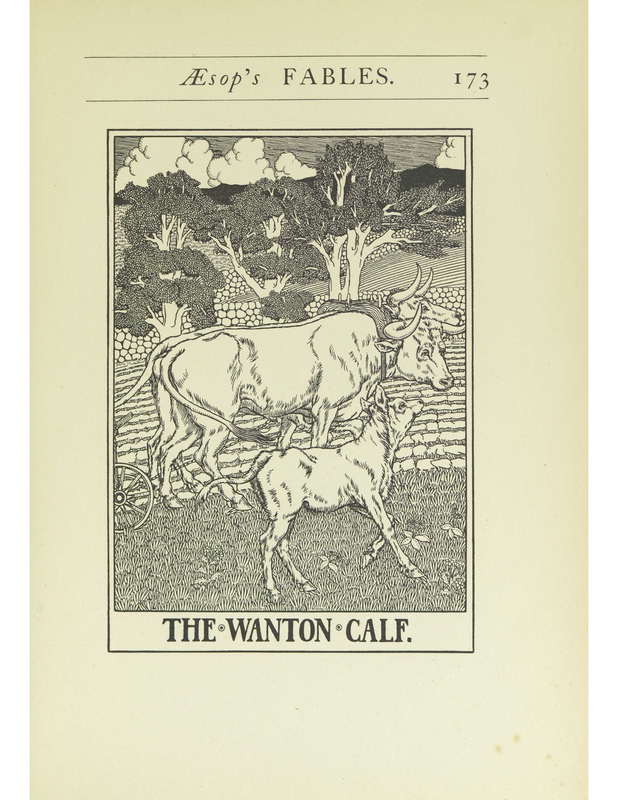 The Wanton Calf