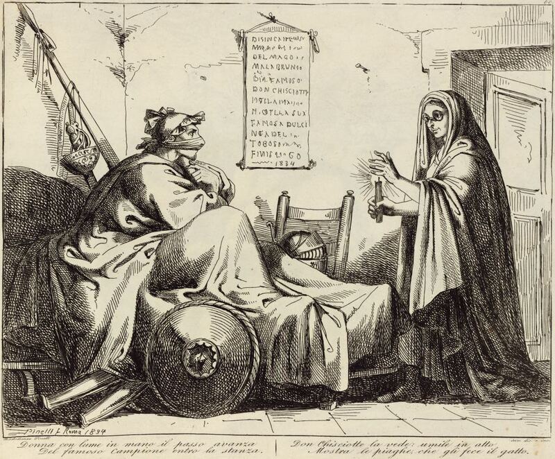 Donna con lume in mano il passo avanza / Del famoso campione entro la stanza. / Don Chisciotte la vede: umile in atto / Mostra le piaghe, che gli fece il gato.