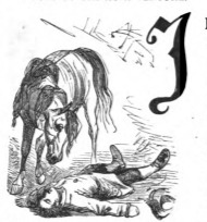 [Gulliver faints after hearing he must leave the Country of the Houyhnhnms]