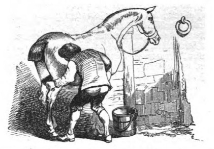 [a European grooms a horse]