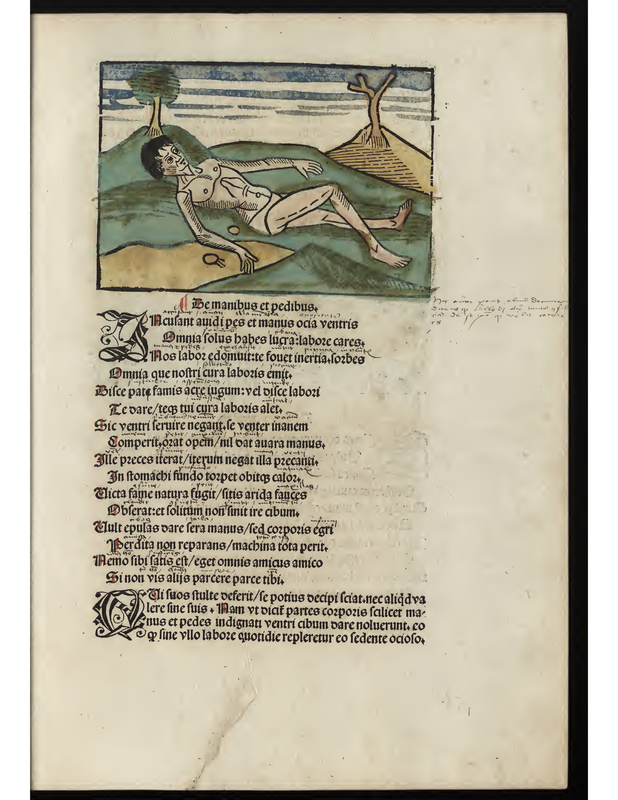 Le manibus et pedibus