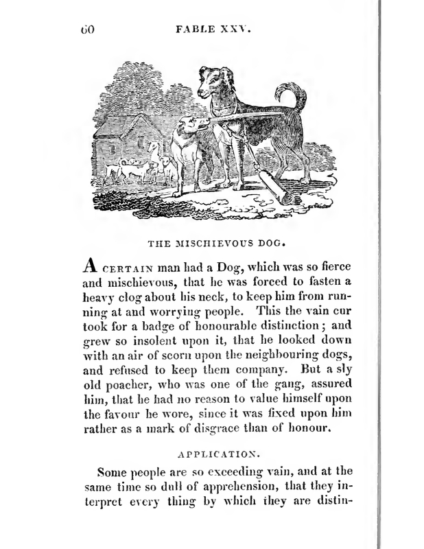 The Mischievous Dog
