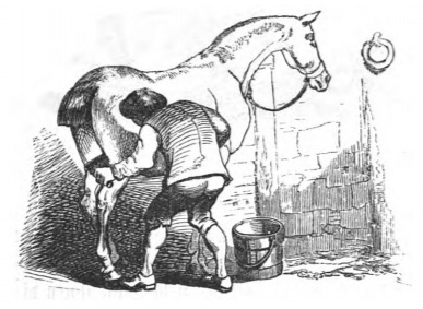 [a human grooms a horse]