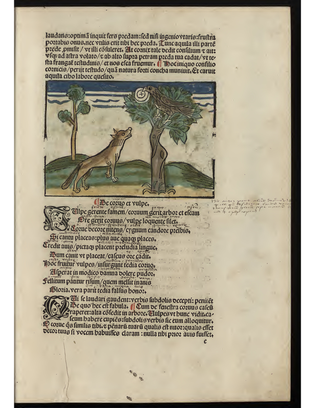 De cozuo et vulpe.