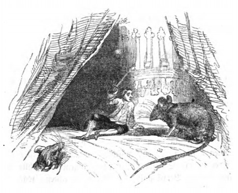[Gulliver fights off giant rats on Brobdingnag]