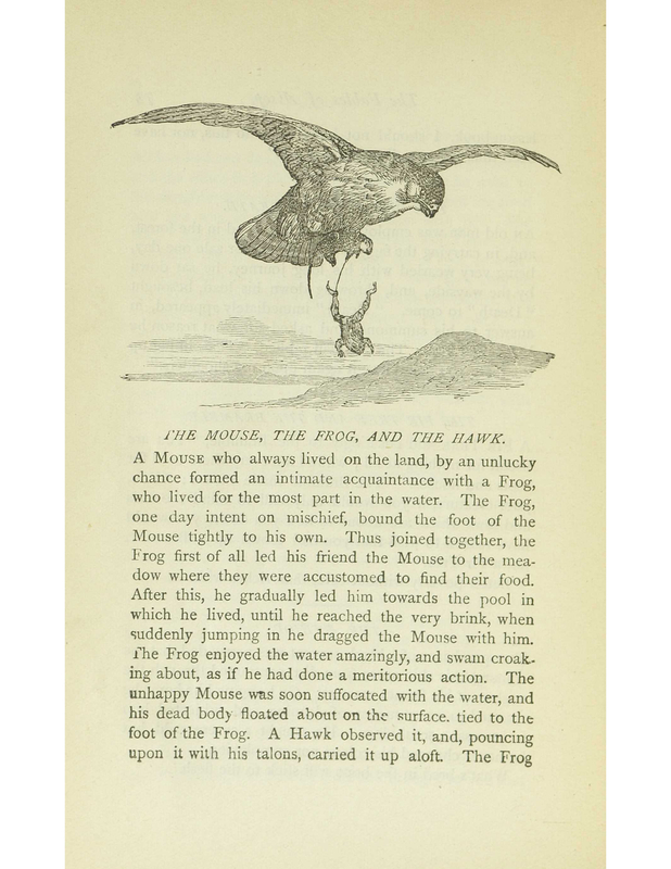 The Mouse, the Frog, and the Hawk