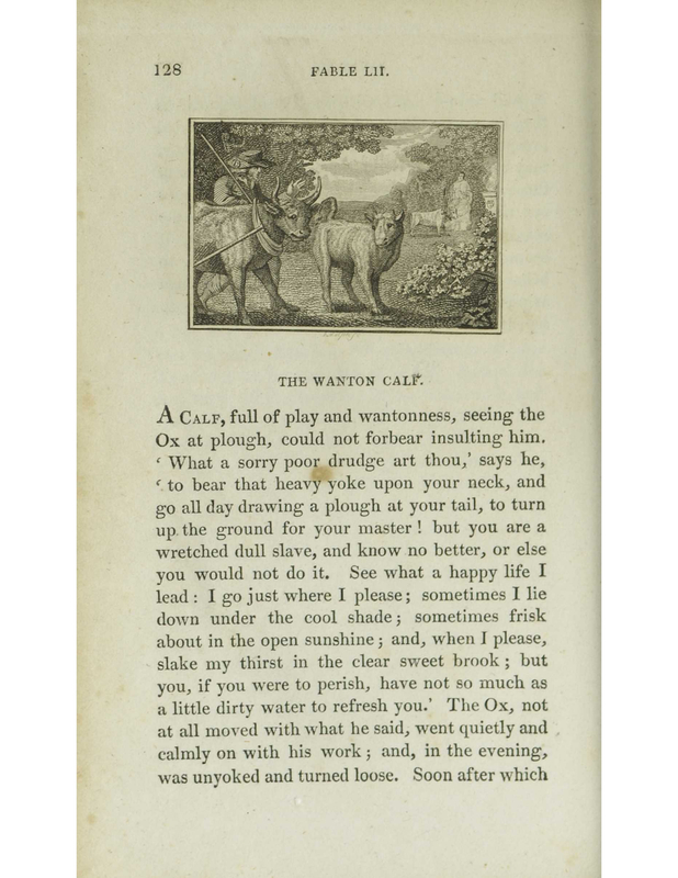 [The Wanton Calf]