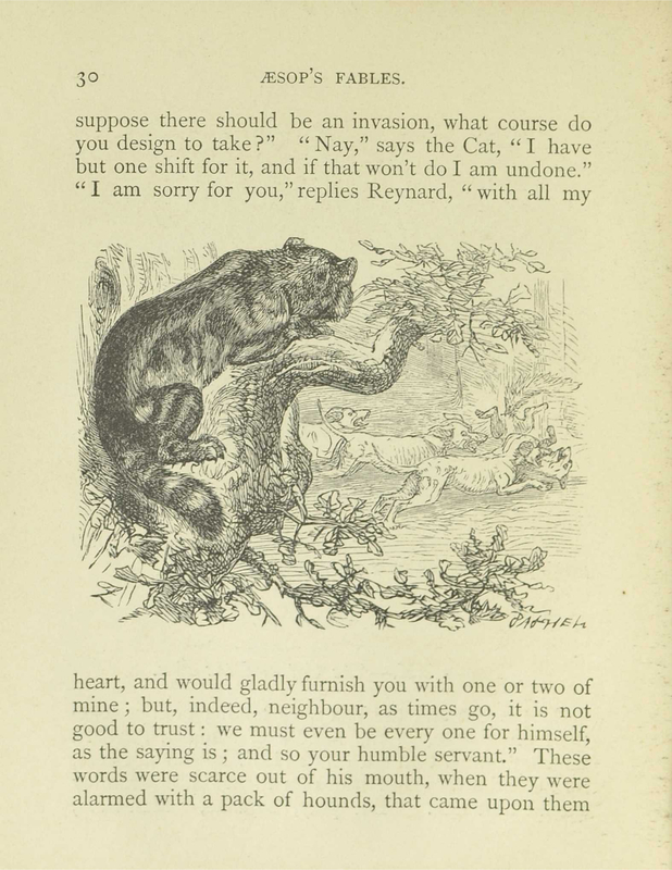 The Cat and The Fox