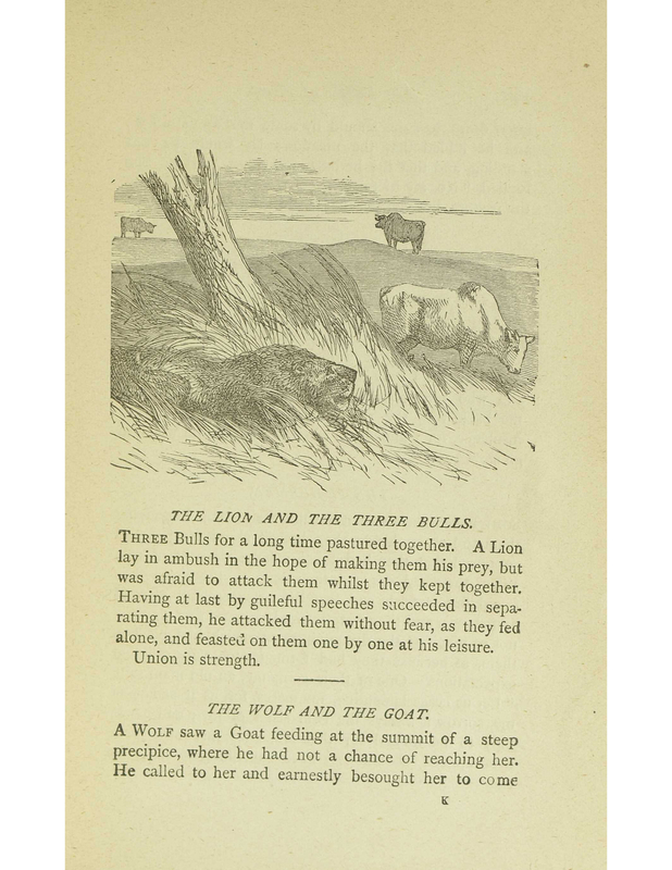 The Lion and the Three Bulls