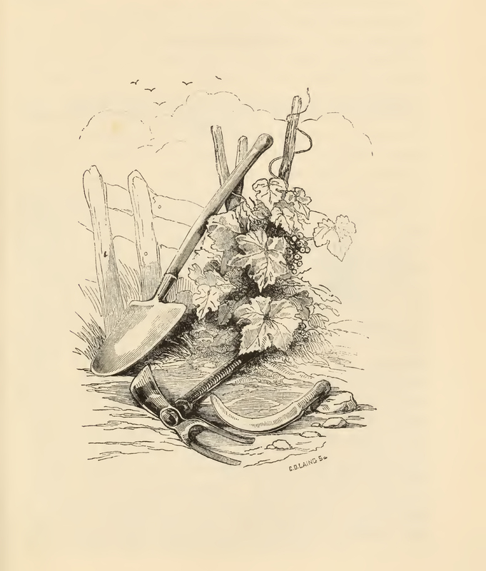 [A Vineyard and Tools]