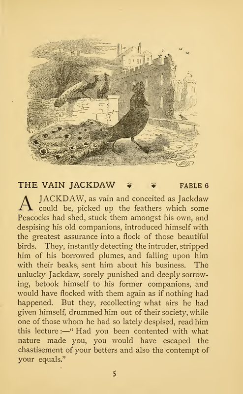 The Vain Jackdaw