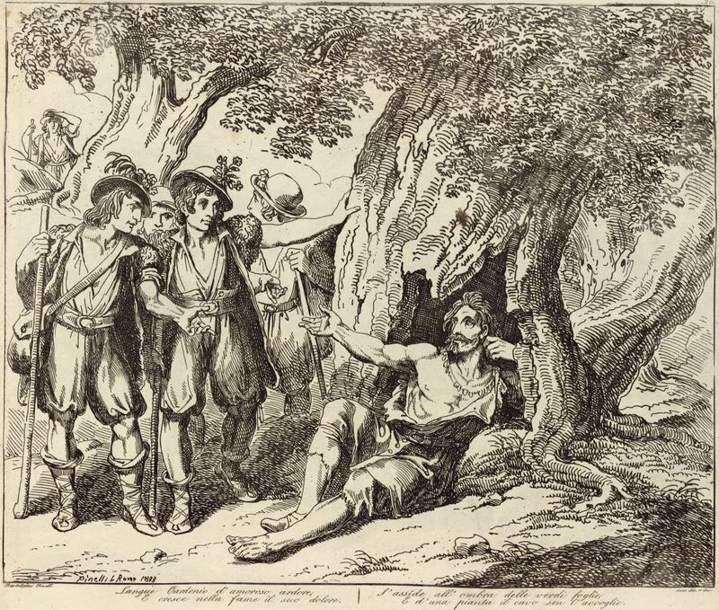 Langue Cardenio d'amoroso ardore, / E cresce nella fame il suo dolore. / S'asside all'ombra delle verdi foglie, / E d'una pianta il cavo sen l'accoglie.