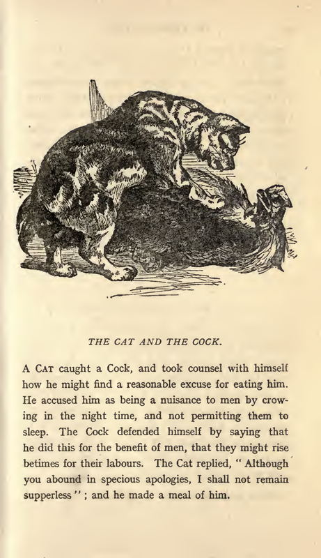 The Cat and the Cock