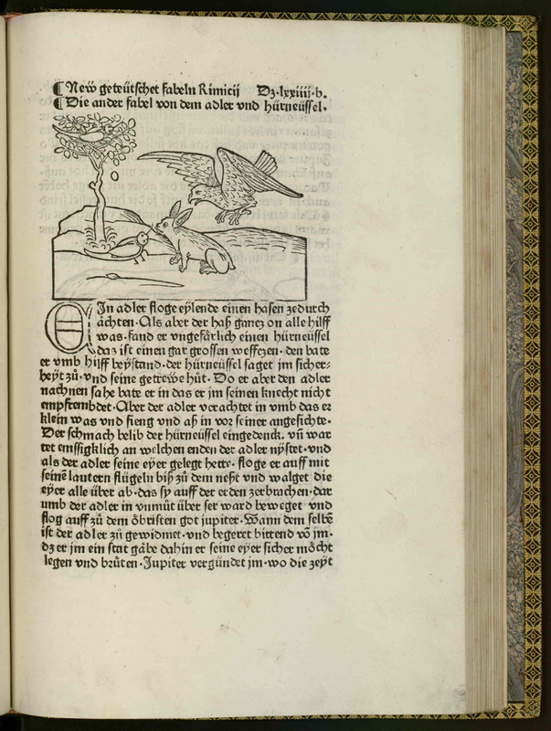 [Eagle hovers over rabbit]