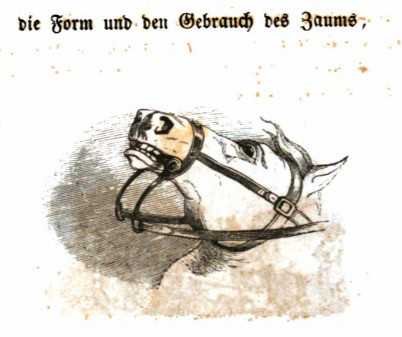 des Sattels