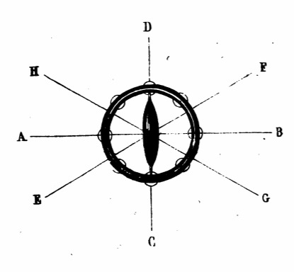 [Chart of the movement of Laputa over Balnibarbi]