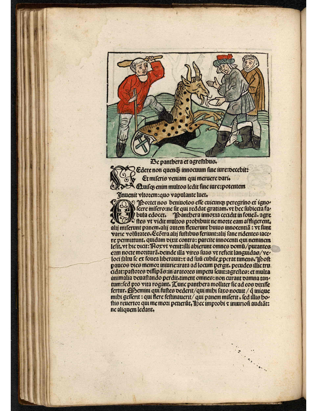 Be panthera et agreftibus