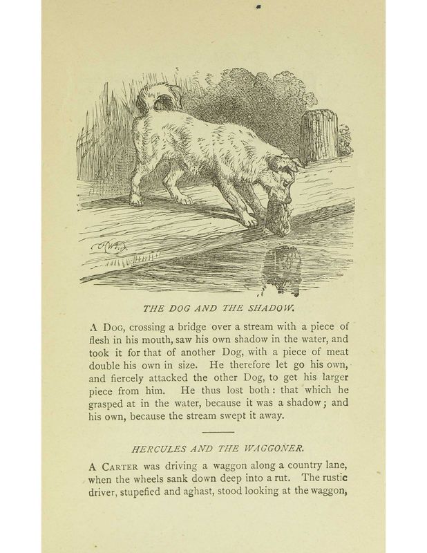 The Dog and the Shadow
