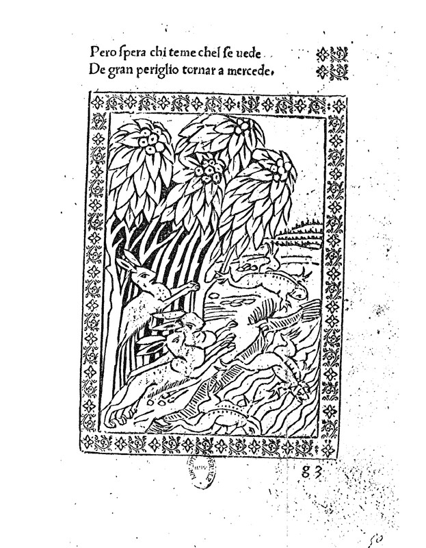 De Silua et Leporibus. Fabula XXX