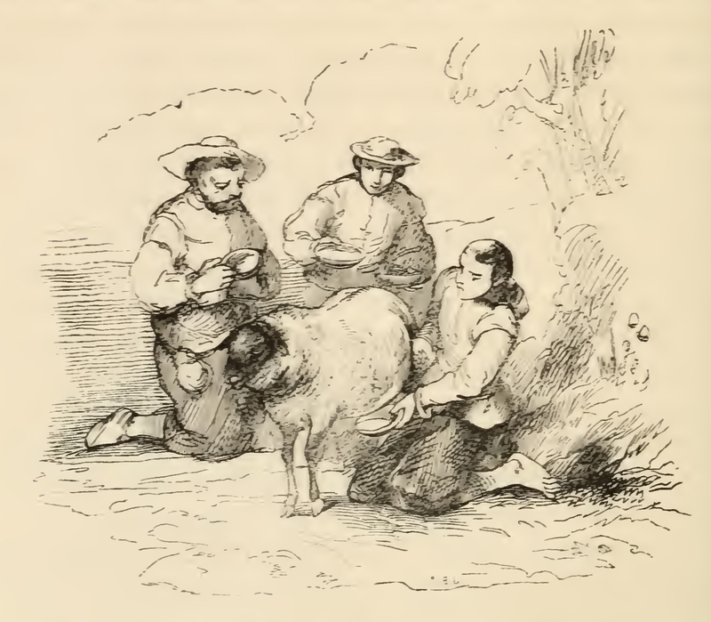 [Of How Sancho Begged for Some Milk of Some Shepherds]