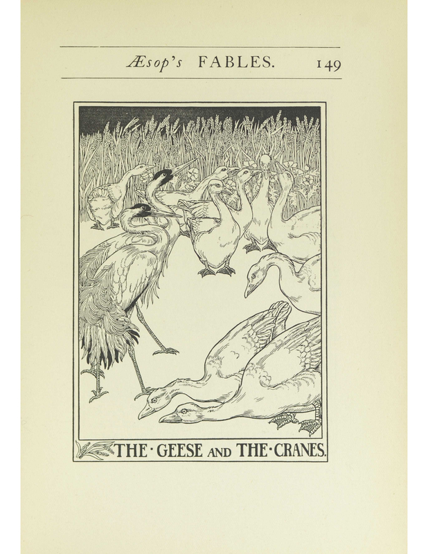 The Geese And The Cranes