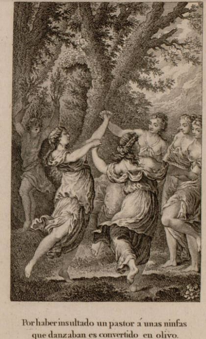 Por haber insultado un pastor a unas ninfas que danzaban es convertido en olivo