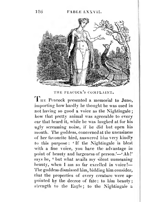 The Peacock’s Complaint