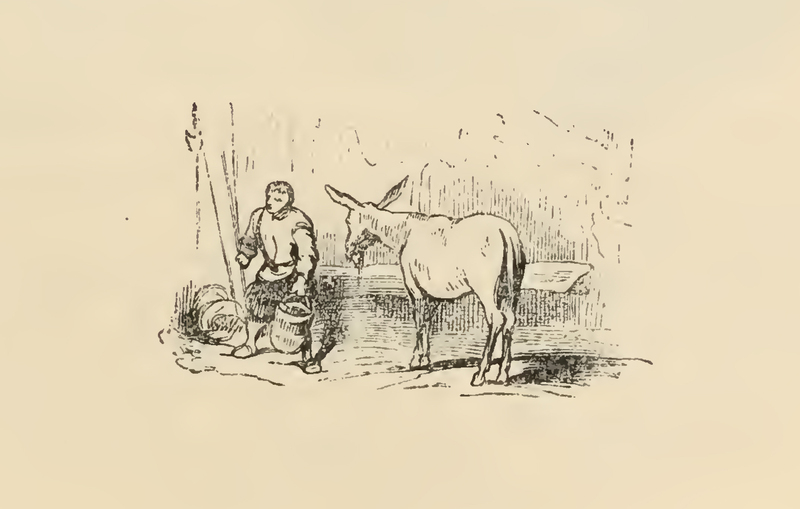 [The Man of Halberds in the Stable with his Mule]