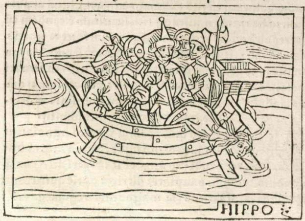 De Hippone greca mulie