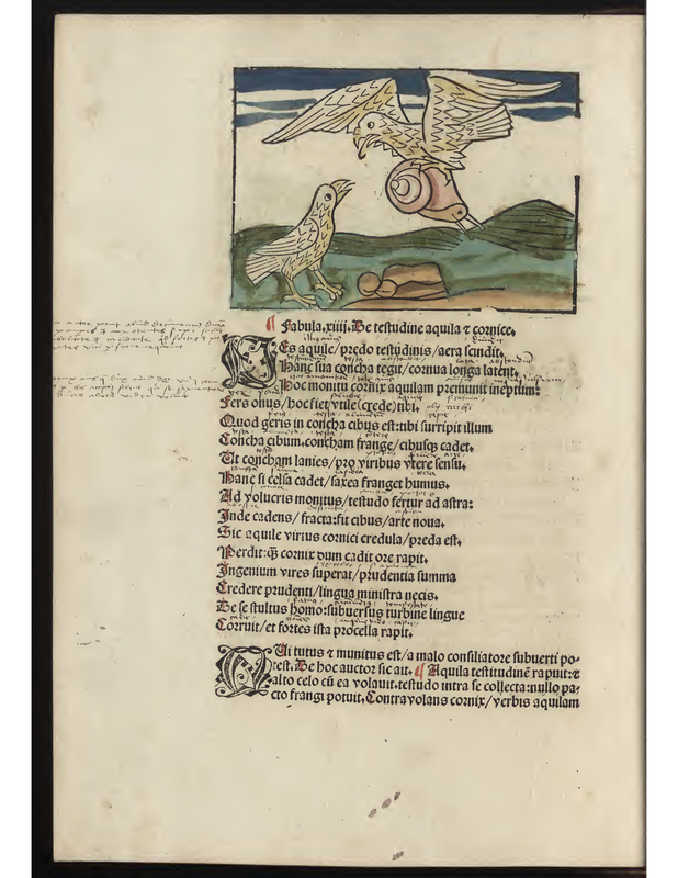 Fabula. xiii. De teltudine aquila y coznice.
