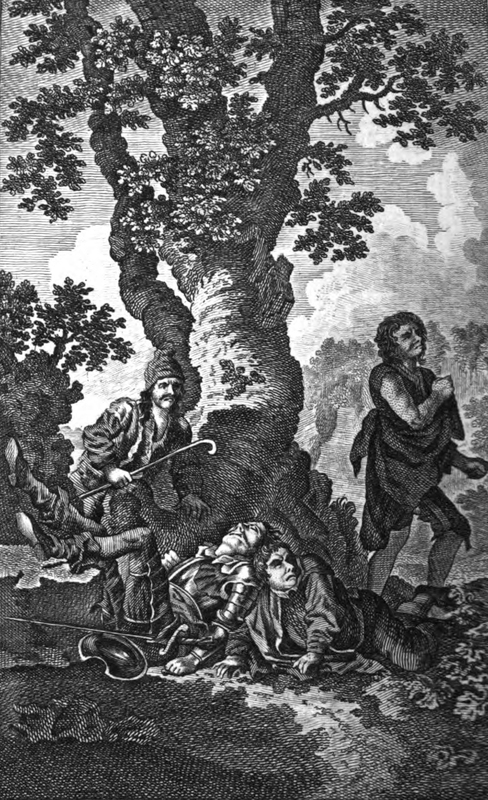 Of How Cardenio Assaulted Don Quixote]