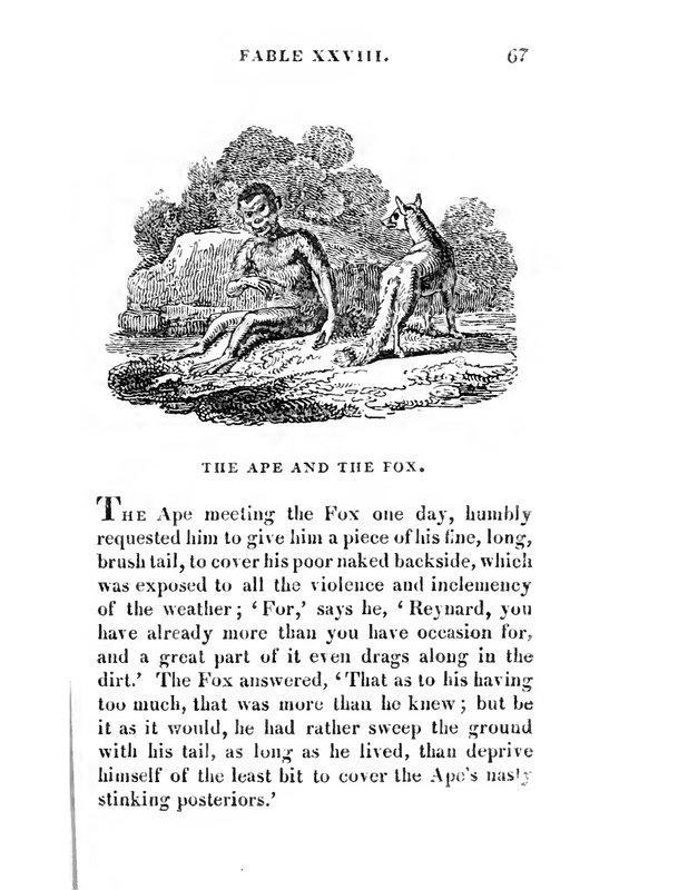 The Ape and the Fox