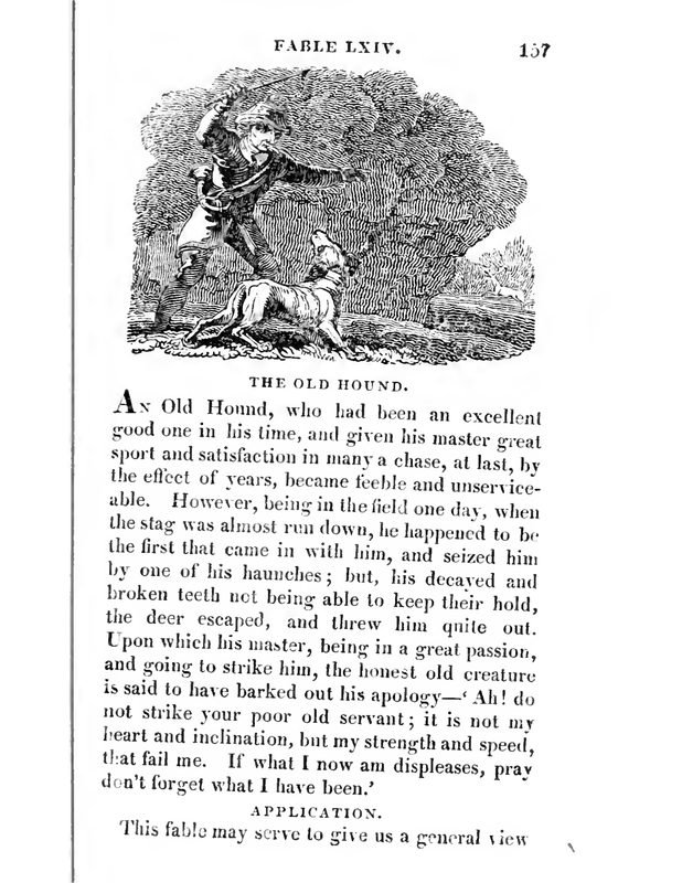 The Old Hound