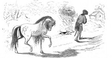 [The Sorrel Nag takes Gulliver to his hut]