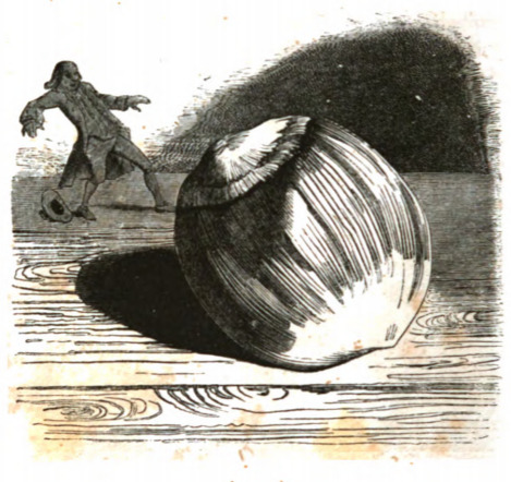 [Gulliver next to a hazelnut on Brobdingnag]