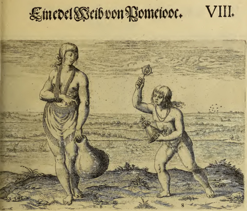 Ein edel Weib von Pomeiooc. VIII.