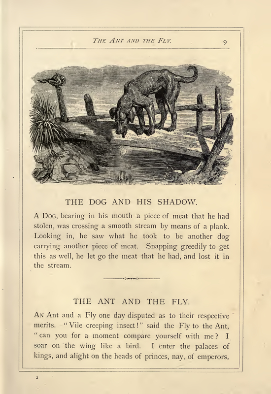 The Dog and His Shadow