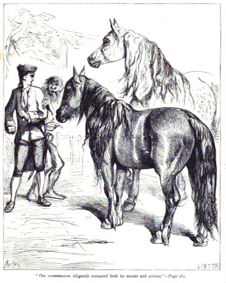 Our countenances diligently compared both by master and servant. - Page 282
