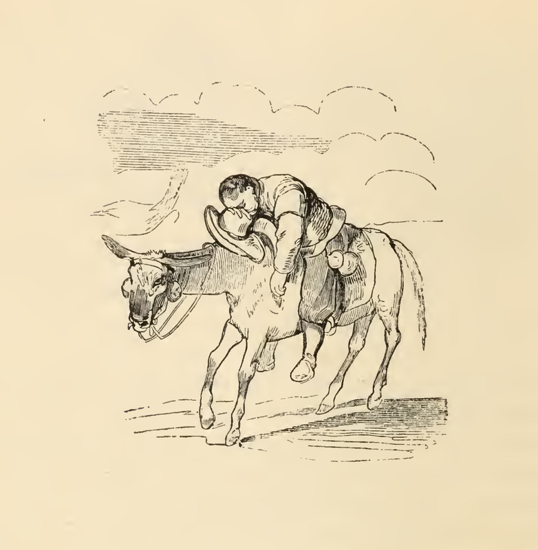 [Of How an Unconscious Sancho Panza was Carried Away by his Donkey]