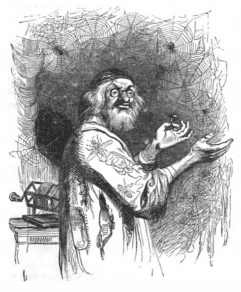 [A scientist from the Grand Academy of Lagado experiments with spider webs]